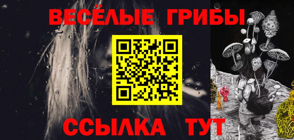 Псилоцибиновые грибы мухоморы Сочи